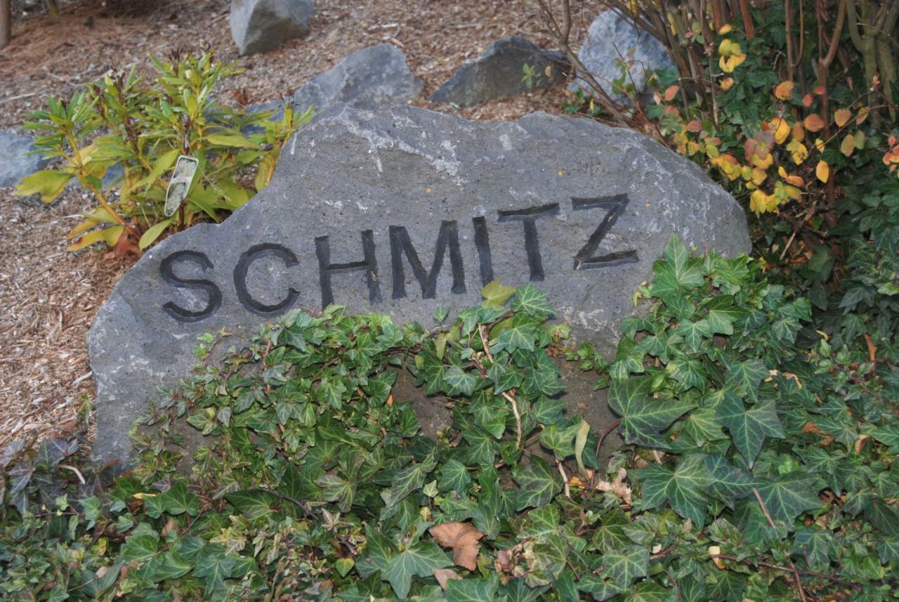 Ferienwohnung Schmitz Anschau ภายนอก รูปภาพ